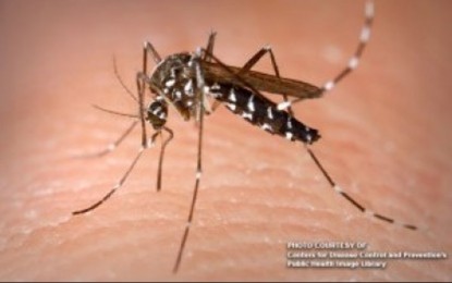 Jan. 1-July 30 Dengue cases 131%