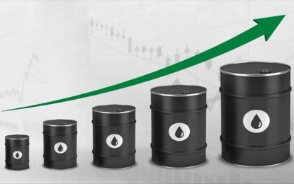 Fall in US crude stocks triggers oil price rise