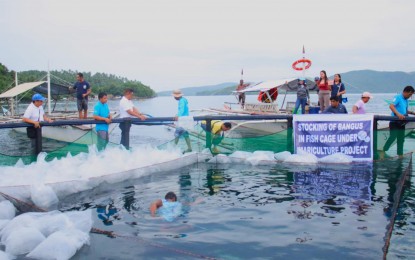P12-M aid to fisherfolk groups to boost fish production in Bicol