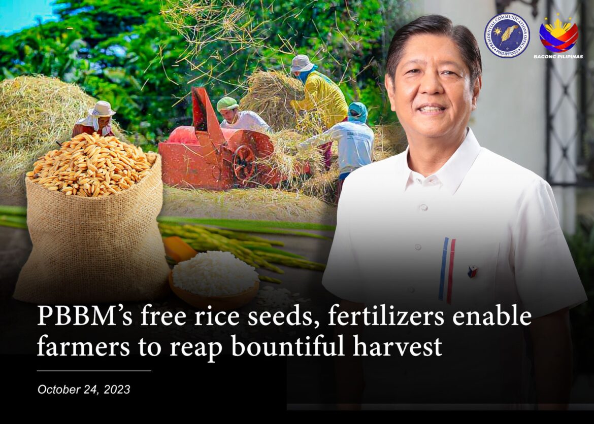 PBBM’s free rice seeds, fertilizers enable farmers to reap bountiful harvest