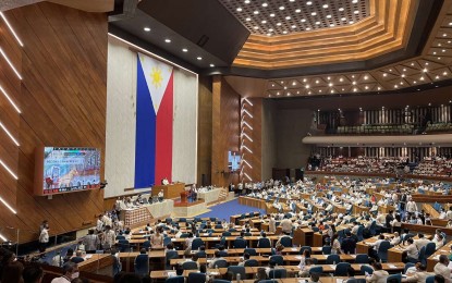 Lawmaker insists foreign investors fear PH Charter restrictions